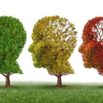 Alzheimer’da Sinsi Belirtiler